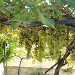 Dimora Del Sole E Del Vento Crispiano