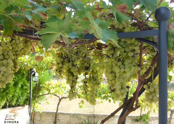 Dimora Del Sole E Del Vento Crispiano